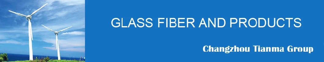 E-Glass Fiber Biaxial Fabric, +/-45 Degree Ebx 200-800, Fiberglass Product