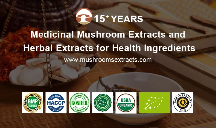 Organic Lion&prime; S Mane Mushroom Plant Extract Hericium Erinaceus Reishi Cordyceps Militaris Mushroom Herbal Powder