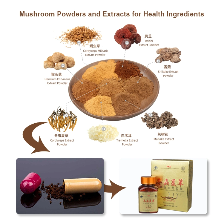 Organic Tremella Mushroom Chaga Mushroom Lion&prime;s Mane Mushroom Reishi Mushroom Powder Mushroom Extract Blends