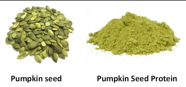 Top Sale Pumpkin Protein 60% 70% Plant Based Pumpkin Seed Protein Powder